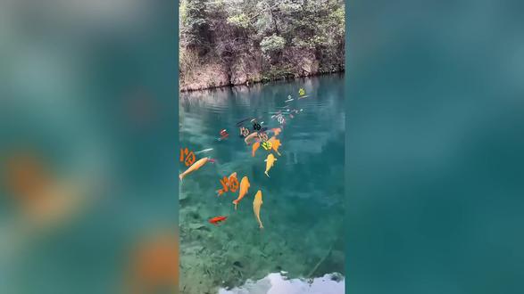 10秒学会!字随鱼动关键帧保姆级教学
不用插件,手机直接做,看完就能上手~
#剪映 #字随鱼动 #关键帧教程 #剪辑技巧#视频剪辑教程