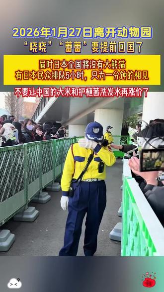 确认了!日本最后2只大熊猫即将回国#大熊猫