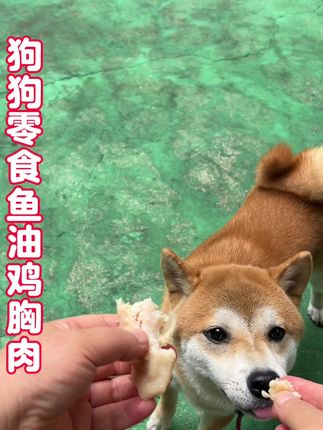 #狗狗零食 #狗狗鸡胸肉 #宠物鸡胸肉 #宠物零食 #鱼油鸡胸肉