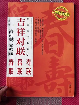 赵孟頫洛神赋吉祥对联 #书法 #行书 #对联