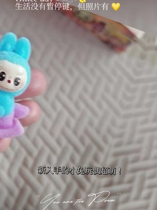 #小玩意 #敲可爱 #拉布布盲盒 #小玩偶挂件毛绒 #玩偶 , 小小一个,可可爱爱的,值得拥有拉布布洞洞乐盲盒小小摆件