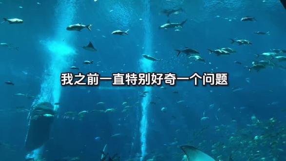 蓝鲸全速正面撞击航母,最后谁能赢?
#蓝鲸 #航母 #知识科普 #冷知识 #真实生活分享计划