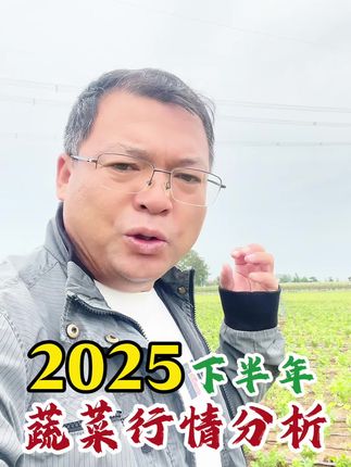 2025年下半年蔬菜行情分析 蔬菜价格份分析 蔬菜行情 蔬菜价格#蔬菜行情 #蔬菜价格