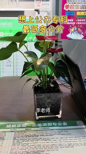 永年家长必看!公办专科最低分汇总(河北+全国)#河北高考 #永年考生 #公办专科分数线 #物理组历史组 #高考志愿填报