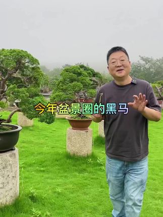 用黄铜打造盆景工具#园艺 #盆景艺术 #园艺生活