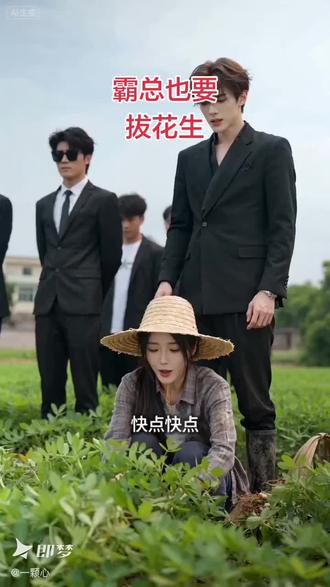 高冷霸总爱上种花生的我!#Seedance2.0 #即梦ai #ai分身戏精大赛 #我的ai分身杀疯了 #那些年追过的剧