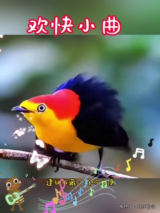 #愿快乐的光洒向人间