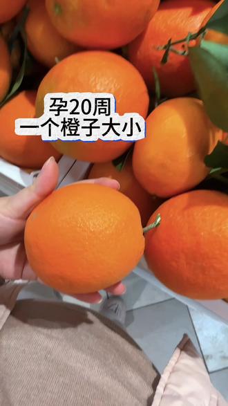 快来看看你的宝宝有多大!怀孕1-40周,胎宝宝的大小变化,超级直观!#胎宝宝变化 #胎宝宝大小 #孕育生命是一段奇妙的旅程
