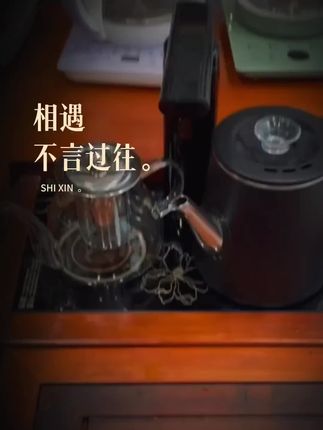#电茶炉 #烧水壶 #茶器茶具 #茶具 #茶具好物推荐