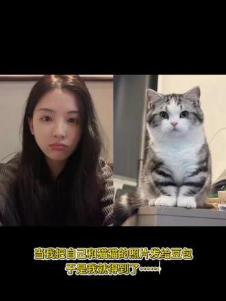 好有爱好喜欢,和猫咪相拥合照ai指令教程来啦!#豆包 #豆包ai #豆包P图已经nextlevel了#和宠物合照 #和宠物合照指令和猫咪合照 和自家萌宠合照