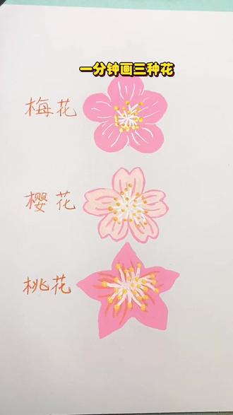 #一起来画画吧 #创作者中心 #创作灵感 一分钟画三种花🌸#画花朵 #画樱花