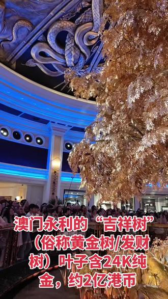 澳门永利的“吉祥树”(俗称黄金树/发财树)叶子含24K纯金,约2亿港币