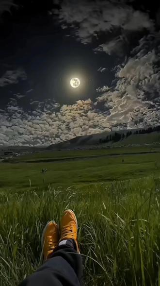 《夜尽晴明》
市井樊笼拘形迹,尘嚣锁尽浮生。
寸身难脱一城扃,难羁云水初心。
清魂长向远天寻。
平芜连万里,风野自浮沉。
遥念苍原地似野,晴光漫覆青坪。
不恋凡尘醋味,唯倾草色遥深、
一川清气任幽襟。
身居车马里,神往绿无边。
魂栖天地阔,呼吸尽清明。
2026.05.15 依洋/著
#乌兰巴托的夜 #月夜惆怅 #对月独醉 #城市困住我的肉体,困不住我的灵魂 #月下孤影谁人怜