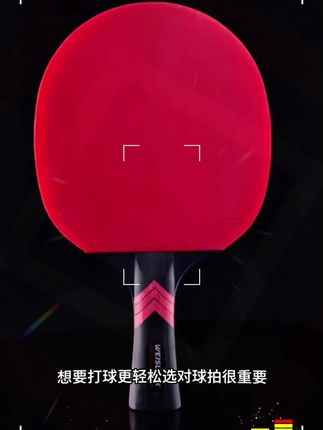 帝斯蓝卡乒乓球拍 专业级单拍九星直拍横拍碳素7星9星比赛高弹乒乓球拍#专业乒乓球拍 #乒乓球拍 #乒乓球拍推荐