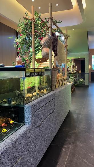 全网都在撒西不勒,怎么能少了俺砀山#砀山酥梨 #非文化