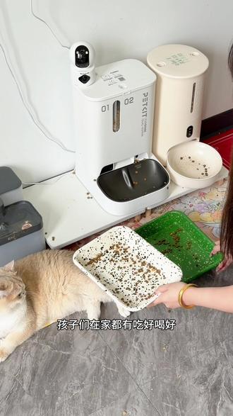 多猫家庭🏡猪咪留守14天后清洁🧹 我的家里香香嘟~
这把选择的解药是:里兜木薯猫砂
是我喜欢的淡淡香皂味儿🧼
用过才知道啊!!!
#养猫清洁好物 #猫咪留守#养宠必备 #沉浸式清洁#里兜木薯pro