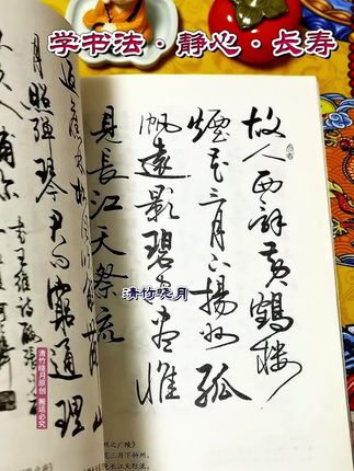 怎样写行书,何大齐著,行书入门技法,诗词章法指导 #行书入门