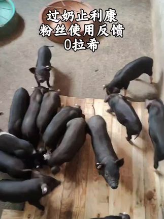 用过的都一箱箱回购了,确实是好用值得推荐!关键是方法要正确!#所有养猪人 #母猪养殖技术 #无限回购的宝藏单品 #抖音上入手的好东西