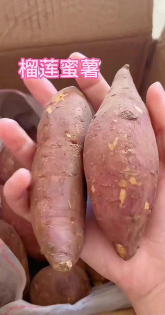 超好吃的榴莲蜜薯!!口感绵密! #超级好吃的红薯 #又香又糯的红薯 #红薯界的天花板 #榴莲蜜薯 #沙地蜜薯