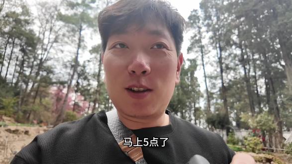 充满鲜花的世界到底在哪里#吃喝玩乐分享计划 #vlog十亿流量扶持计划 #寂照庵 #大理小众景点 #吃斋饭