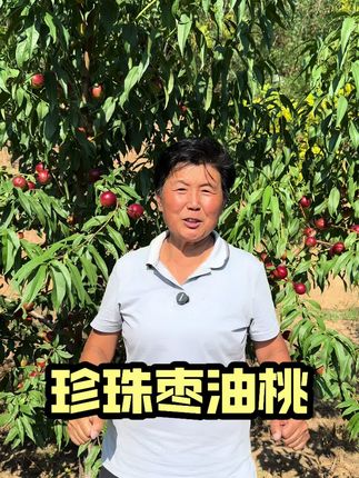 今天下午6点30分书记直播间,不见不散,数量有限呦#抖音助农 #优质农产品 #新鲜应季水果 #村书记
