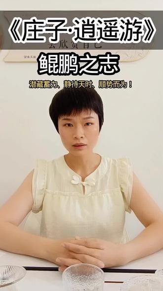 #庄子 #道家思想 #国学文化 #庄子与智慧 #庄子语录 《庄子·逍遥游》鲲鹏之志,生命的进化!