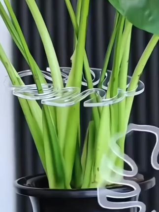 龟背竹支撑杆 龟背竹支撑杆花支撑架枝干收拢架植物防倒伏支架绿植固定神器花架