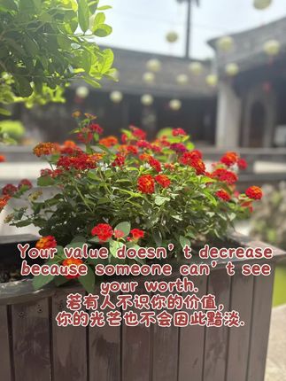 英语励志美文#英语口语 #口语天天练 #英语启蒙 #双语广播 #正能量