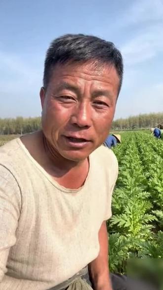 人生没有白走的路,每一步都算数。#平平淡淡 #日常生活 #白发结束了