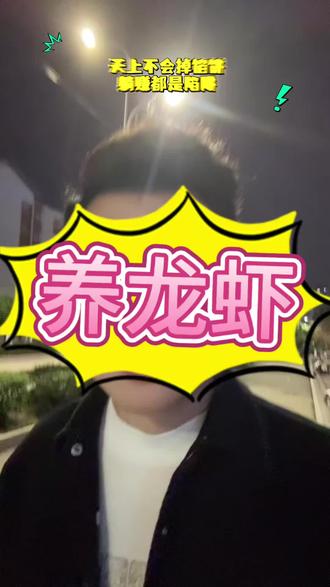 全网爆火的养龙虾是干啥的?大白话给你讲透。