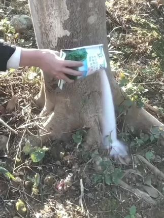 【环青酮】杂草藤蔓杂竹厂区公路机场,颗粒型直接撒掺混肥#杂草 #农村生活
