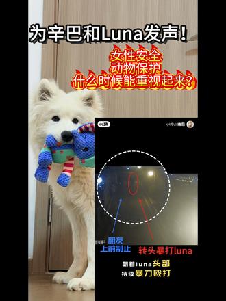 #辛巴和luna #女性安全 #动物保护 #狗狗 #萌宠
原博主@辛巴和Luna