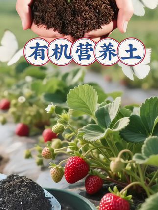 有机营养土 #有机营养土种花种菜种果树都可以 #一花一世界 #种植的乐趣 #三农