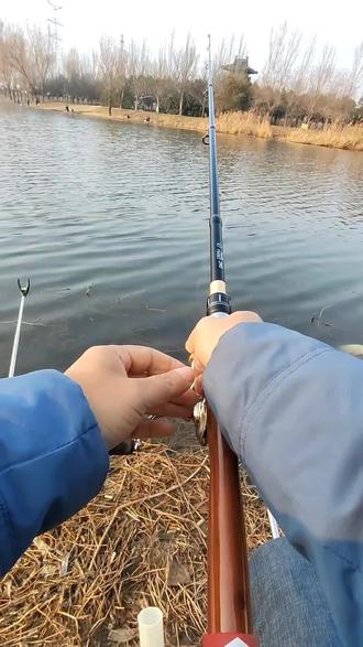 滑漂钓鱼自动打窝线组分享#钓鱼人 #原创作品 #钓鱼知识#钓鱼技巧 #钓鱼