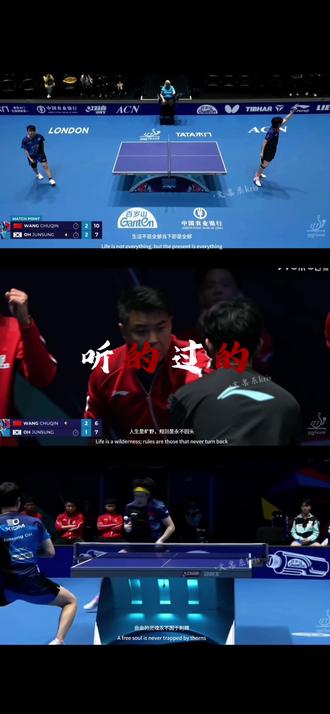 中国国家乒乓球队!今晚夯爆了好嘛🏓#伦敦世乒赛#强势晋级四强#永远相信中国国家乒乓球队#队长#王楚钦