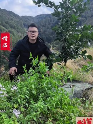 #防草布 #果树种植 #果树管理 #农村生活 #三农
