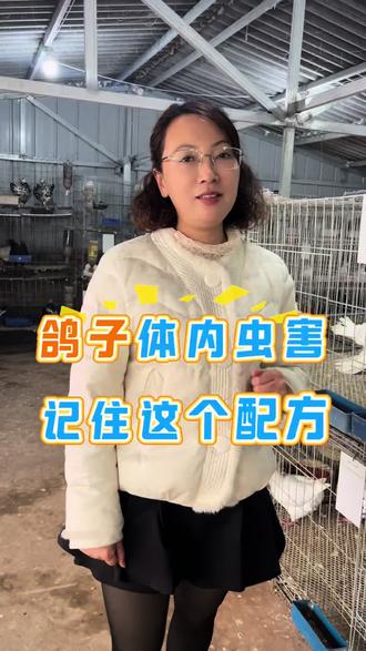 鸽子体内虫害记住这个配方#观赏鸽养殖#鸽䖝清#鸽友#鸽子毛滴虫#鸽子蛔虫