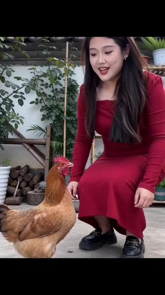 这个叫西古妖猫
哈哈哈
#白族话教学