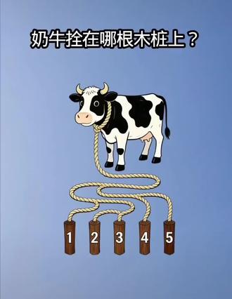 #考眼力测试 请问奶牛栓在那个木桩上?测测你的眼力有多好