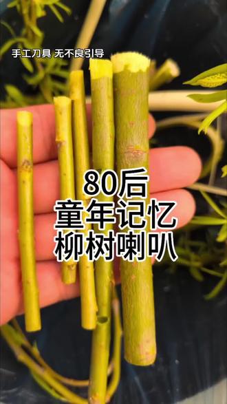 #80后 #童年回忆 #农村生活 #手工制作 童年趣事柳树条做喇叭,小时候春天必玩的手工玩具,80后的童年回忆。