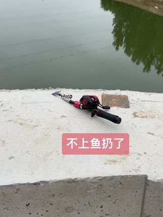 #钓鱼的乐趣只有钓鱼人懂