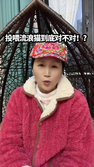 投喂流浪猫到底对不对!?#关爱流浪猫 #流浪猫 #流浪猫日常