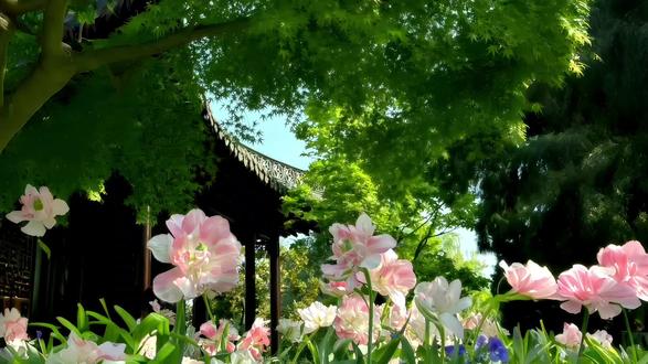 哈哈哈葱葱酱喜提加班一小时#大梁大葱 #克拉克拉 #向全世界安利 #强烈推荐 #上热门