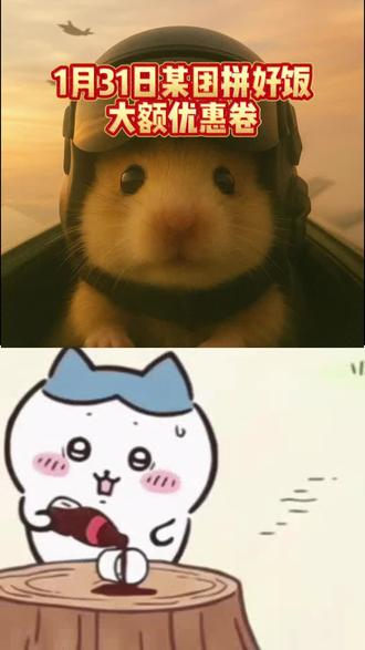 美团拼好饭¥heZGYwNDllODY¥ 优惠劵一起领 #美团拼好饭#美团拼好饭优惠 #拼好饭优惠券 #优惠券 #薅羊毛