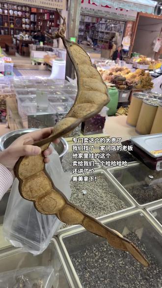 带我的大豆荚回家Vlog #云南大豆荚 #vlog日常#云南美好推荐官 #重庆dou知道