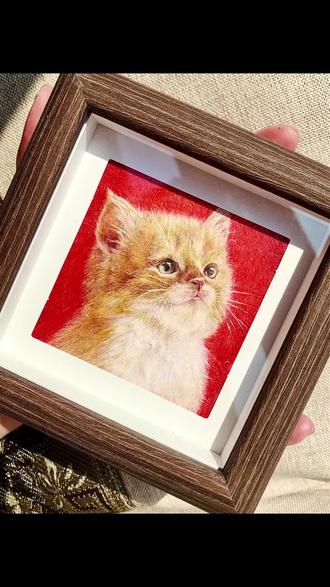 手绘彩铅画起形写实彩铅画油性彩铅手绘宠物头像宠物绘画彩铅小猫绘画过程#彩铅手绘 #想画就画随心所欲 #画画我是认真的 #绘画过程分享 #彩铅画