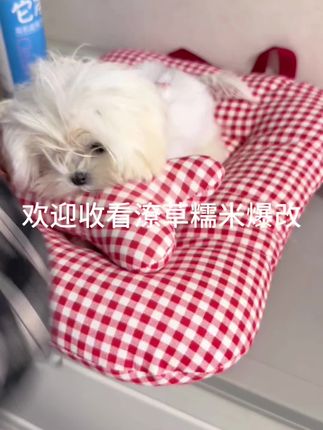宠物泪痕烦恼多?佩应美泪痕清洁液来帮忙!一按一擦,轻松洁净眼周,还毛孩子明亮双眸,300ml大容量,宠物眼部护理就选它~#马尔济斯幼犬