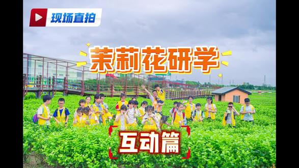 赴一场横州茉莉之约,在研学中遇见美好。穿梭于洁白花海,采摘间邂逅自然的诗意,聆听茉莉生长的故事。把花香藏进记忆,把收获写进成长,这趟自然课堂,满载而归! #茉莉花研学 #横州茉莉花 #研学之旅 #不倒翁研学