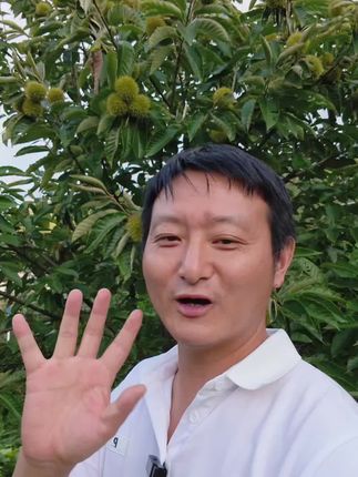 新鲜板栗上市啦!顆顆飽滿,自然無公害,快来一起尝个鲜~🌳🌰 #上热门找话题 #优质农产品 #板栗#优质农产品 #快来一起尝个鲜 #绿色无公害农产品