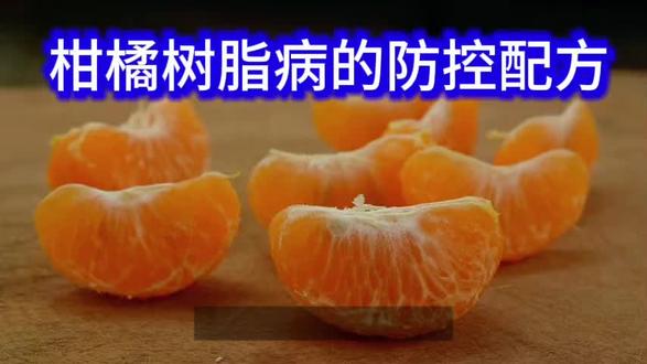 柑橘树脂病防控配方
#柑橘 #生态农业 #三农服务